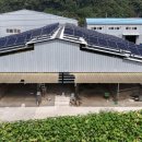 다인1 태양광발전소 이미지