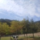 덕진목장 이미지