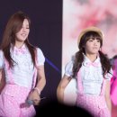 미스터에이 이미지
