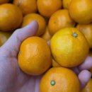 바이올린노래연습장 이미지