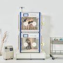 산호동물병원 네이버블로그