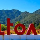 국화공원 이미지