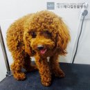 네오 동물병원 이미지