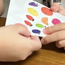 보현산칼국수 이미지