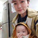 댕이맘마 이미지