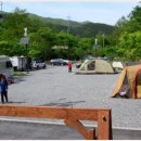 숲속 동키마을 캠핑장 이미지