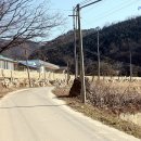 소전2리 티스토리