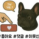 더펍 - 진도군 | 더펍