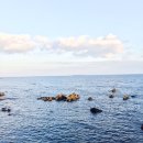 보목동어촌계 이미지