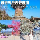 영산강 대상공원 주차장 | 창원 빅트리 전망대 대상공원 주차장 가는 길 개방시간 관람 팁