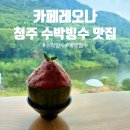 원두막카페 | 청주 수박빙수 맛집 카페레오나 내돈내산 후기 예약 원두막 수박빙수
