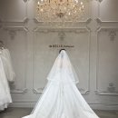 광안2동 | 본식 드레스투어: 드벨르마리에 드레스 추가금 공유, 신상 피팅 후기