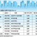 지방은행·보험사가 주담대 금리 더 싸네 이미지