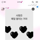 미즈피아