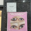인천 청라 속눈썹 펌 포인트 연장 추천 다뷰래쉬
