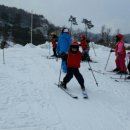 대마초등학교 이미지