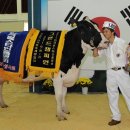 대흥목장 이미지