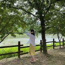 ~20.06.14 2주간 일상. 역시 잘먹고 잘먹었다...