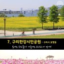 꿈의숲안경 이미지