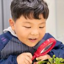 놀작늘봄미술교습소 | 강서구미술학원 / 놀작늘봄미술교습소 / 위치가격주차