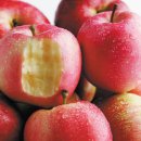 그리움 무 이미지