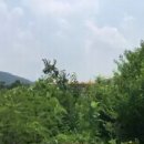 신갈모터스 이미지