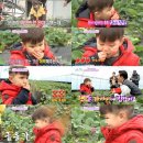 태오농장 이미지