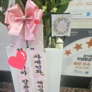 사계연화 이미지