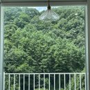 샬롬세탁소 이미지