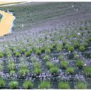 삼아농장 이미지