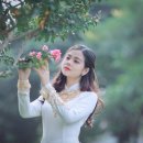 국제행정사사무소 이미지