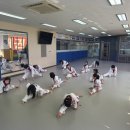 용인대 SK 태권도 이미지