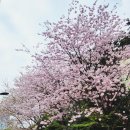 2호선 동백역 4번출구 이미지