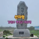 레너지스 이미지