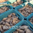 부자농장(정읍) 이미지