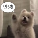 팬헬스 이미지