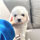 균영농장 네이버블로그