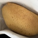 로티보이 이미지