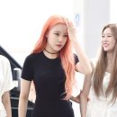 그룹퍼즐 이미지