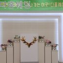 다홍기획 이미지