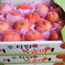 월미농장 이미지