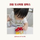 통큰어린이집 | 과일 도시락통 얌박스 | 17개월 아기 어린이집 과일 및 간식 도시락통 추천