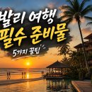 만성카용품크리닉 | 발리 여행 필수 준비물 5가지 꿀팁, 풀빌라 필수템 튜브까지