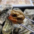 선산수산 | 을사년 설연휴 선친묘소 참배후 애견펜션 바로빌리지 숙박후기