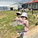 천생연분마을 이미지