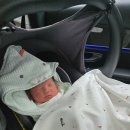 문찬수압구정성모내과의원 | [블챌] 서울 산후조리원 &amp; 병원 백일해주사 접종 시기 및 가격