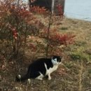 법률사무소형산 이미지
