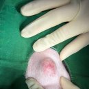 올케어 동물의료센터 이미지