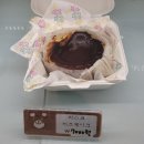 베어파이브 이미지