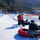 그랑셰프(콘도) 이미지